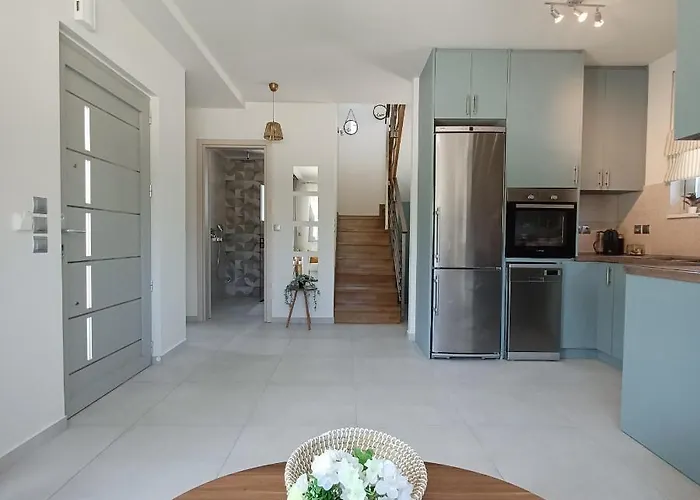 Dream Time * 바실리키