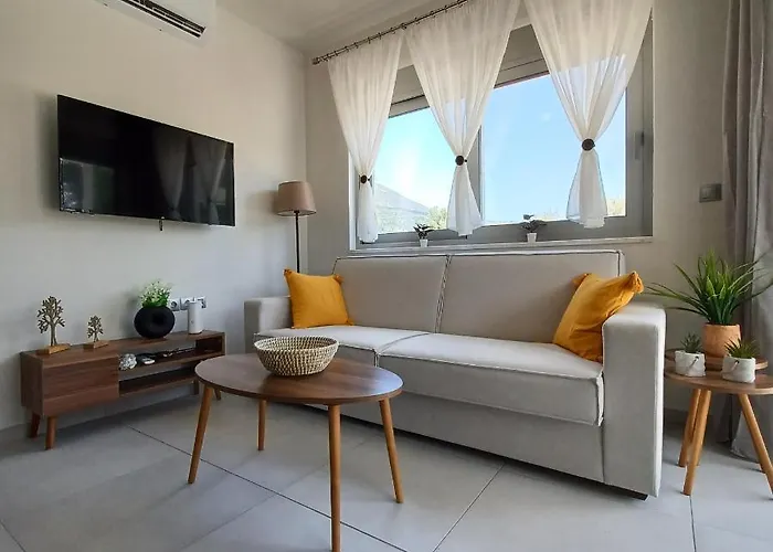 Dream Time * 바실리키