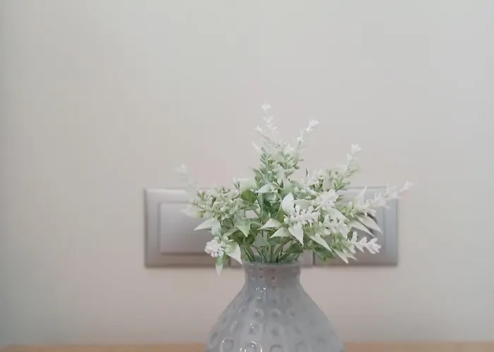 Dream Time 빌라 바실리키