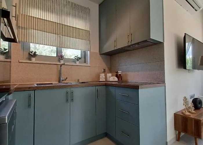 Dream Time * 바실리키